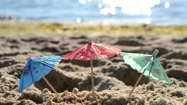Бумажные коктейльные зонтики в песке на берегу моря в солнечный летний день крупным планом — стоковое видео