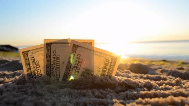 Argent dollars à moitié recouvert de sable se trouvent sur la plage close-u — Video