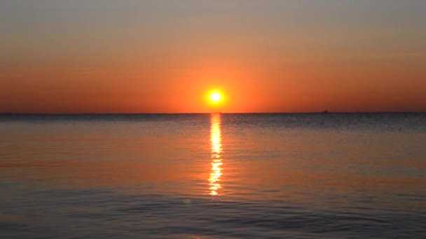 Amanecer en el mar. Cielo despejado, sendero soleado, horizonte — Vídeos de Stock