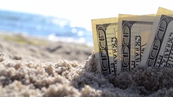 Деньги, наполовину покрытые песком, лежат на пляже крупным планом — стоковое видео