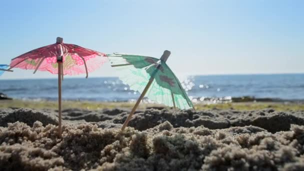 Papieren cocktailparaplu 's in zand aan zee op zonnige zomerdag close-up — Stockvideo