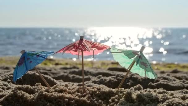 Ombrelli da cocktail di carta in sabbia in riva al mare nella soleggiata giornata estiva primo piano — Video Stock