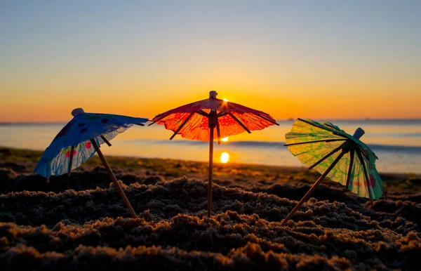 Paper cocktail umbrellas in sand on seashore at sunset dawn close-up — Stock Photo, Image