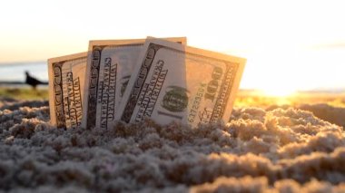 Kumsalda kumla kaplanmış paranın yarısı yakın planda duruyor..