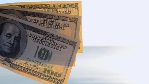 Three hundred dollar bills on background of sea surface. 100 dollar cash — Stock Video