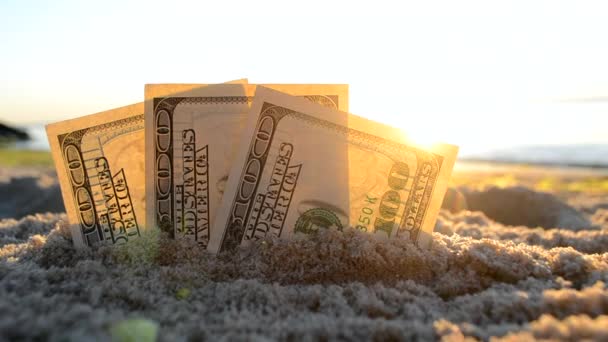 Billetes de tres dólares están enterrados en arena en la playa de arena cerca del mar al amanecer del atardecer — Vídeos de Stock
