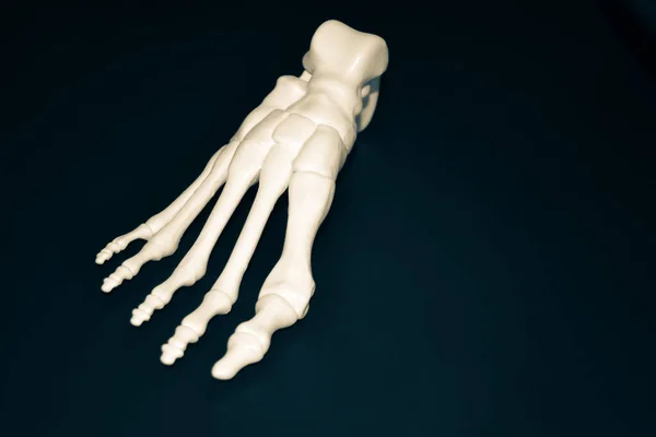 Λευκό πρωτότυπο του σκελετού του ανθρώπινου ποδιού τυπωμένο σε 3d εκτυπωτή σε σκοτεινή επιφάνεια — Φωτογραφία Αρχείου