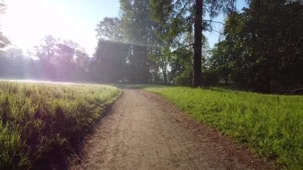 Pesawat tak berawak terlihat terbang di atas jalan tanah di taman di pagi hari — Stok Video