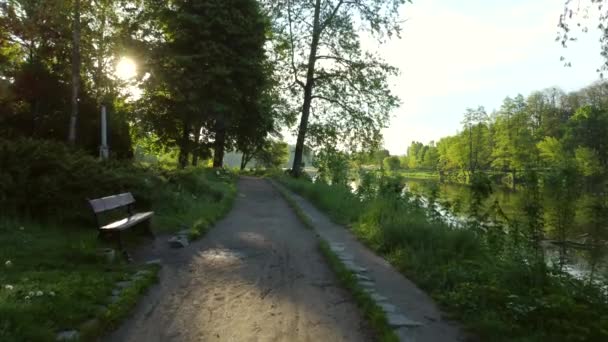 Volo aereo drone vista sul parco, sentiero sterrato, panchine, cespugli verdi, erba — Video Stock