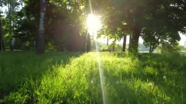 Sabahın erken saatlerinde parktaki toprak yolda hava aracı görüntüsü.