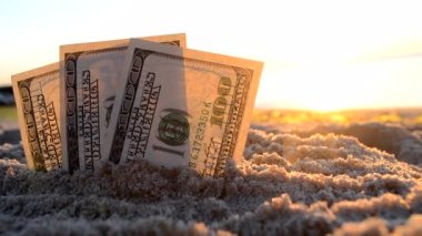 Üç dolarlık banknotlar gün batımında deniz kenarında kumlara gömülür.