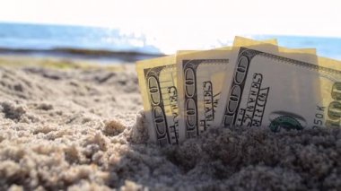 Üç dolarlık banknotlar sahile yakın kumsalda gömülü.