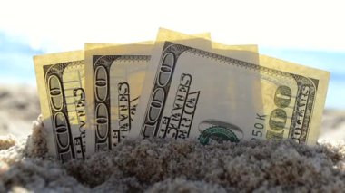 Üç dolarlık banknotlar deniz kıyısındaki kumsalda gömülü.