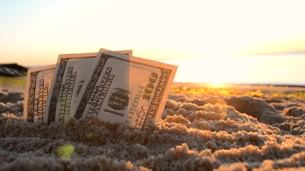 Billetes de tres dólares están enterrados en arena en la playa de arena cerca del mar al amanecer del atardecer — Vídeos de Stock