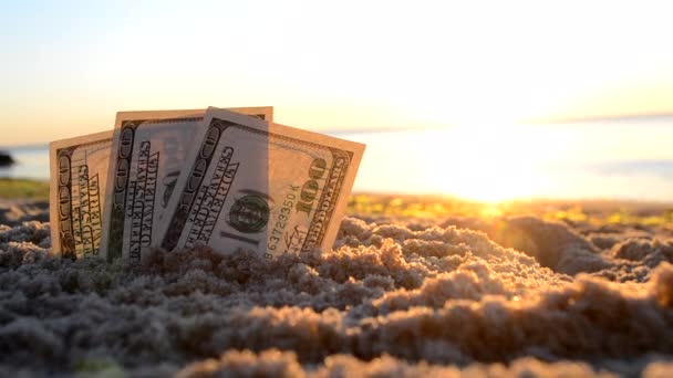 Τα χαρτονομίσματα των τριών δολαρίων θάβονται στην άμμο στην αμμώδη παραλία κοντά στη θάλασσα την αυγή του ηλιοβασιλέματος — Αρχείο Βίντεο