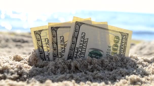 Tre dollarsedlar är begravda i sand på sandstrand nära havet — Stockvideo