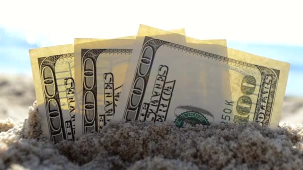 Tre dollarsedlar är begravda i sand på sandstrand nära havet en — Stockvideo