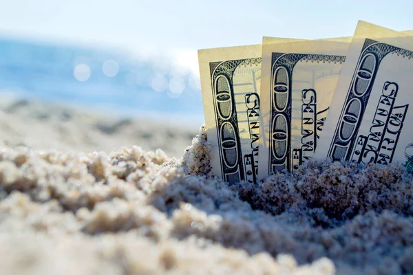 Three dollar bills are buried in sand on sandy beach near sea on sunny
