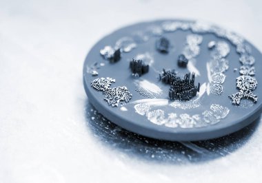 Metal için 3D yazıcıda diş kaplaması oluşturulduktan sonra disk