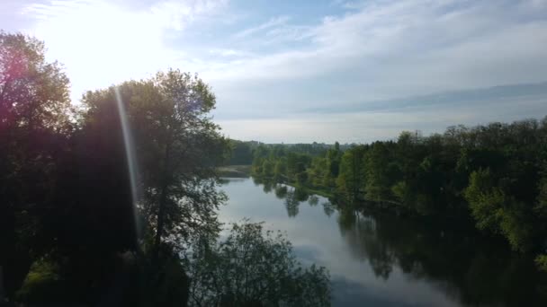 Vue aérienne du drone survolant le miroir surface lisse de la rivière et des arbres — Video