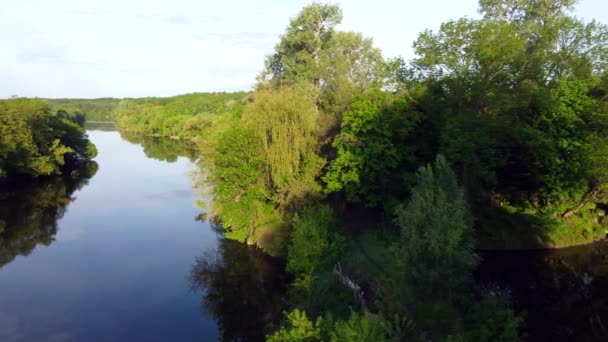 Lotnicze drony widok lot nad lustrem gładka powierzchnia rzeki i drzew — Wideo stockowe