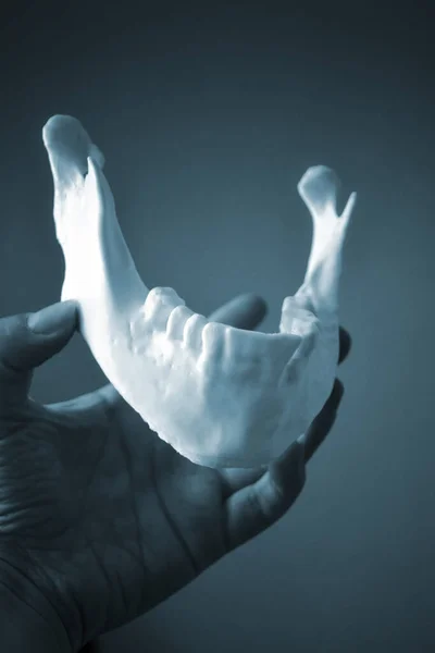 Una niña sostiene una mandíbula impresa en una impresora 3D en su palma — Foto de Stock