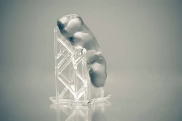 Lidská čelist potištěná na 3D tiskárně fotopolymeru. — Stock fotografie