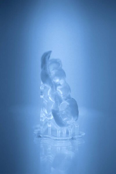 Human jaw printed on 3d printer of photopolymer.