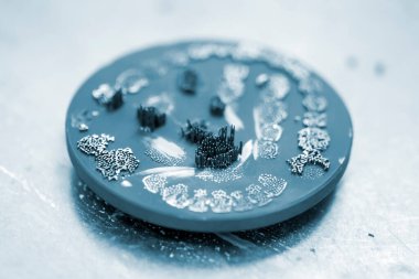 Metal için 3D yazıcıda diş kaplaması oluşturulduktan sonra disk