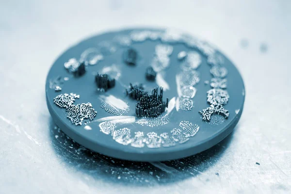 Metal için 3D yazıcıda diş kaplaması oluşturulduktan sonra disk