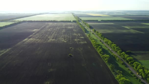 Velden in het vroege voorjaar zomerochtend vanaf grote hoogte. — Stockvideo