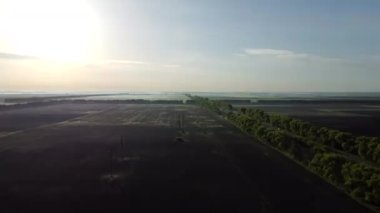 Yaz sabahının ilk saatlerinde, yüksek bir yerden tarlalar.