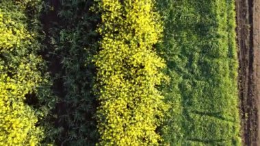 Yüksekten ateş ediyorlar. Bir adam yolda yürüyor.