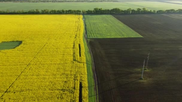 Schieten vanaf een hoogte. Een man loopt langs de weg. — Stockvideo