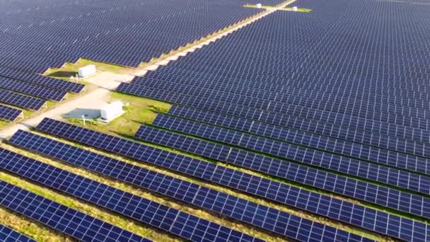 Luchtdrone zicht vlucht over zonnepanelen. — Stockvideo