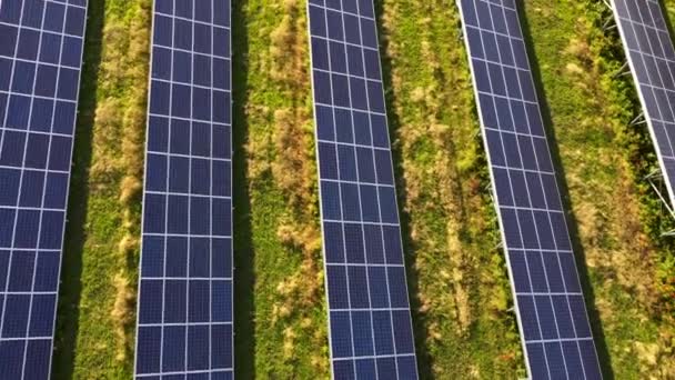 Vôo aéreo da visão do drone sobre painéis da central de energia solar. — Vídeo de Stock
