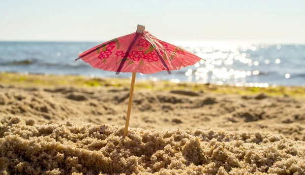 Paper cocktail umbrellas in sand on seashore on sunny bright summer day