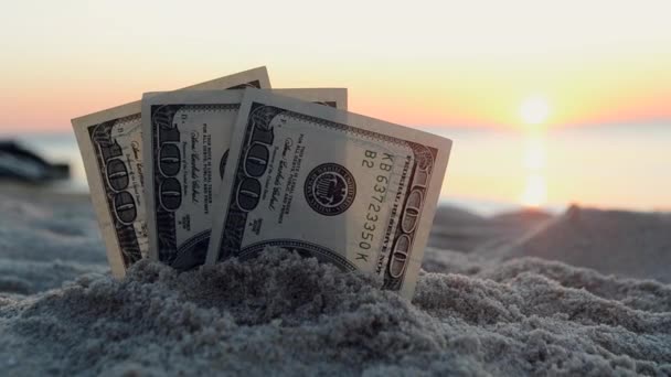 Drie dollarbiljetten liggen begraven in zand op zandstrand bij zee. — Stockvideo