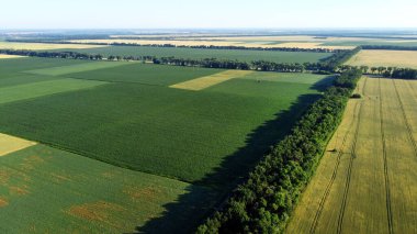 Hava aracı farklı tarımsal alanlar üzerinde uçuyor.