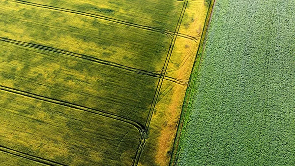Vue aérienne d'un drone survolant différents champs agricoles ensemencés — Photo