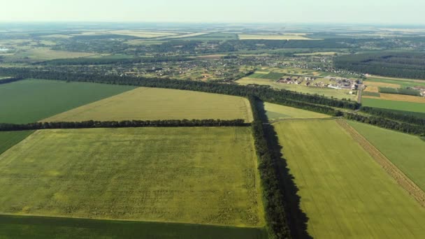 Avión teledirigido aéreo vista vuelo sobre diferentes campos agrícolas — Vídeos de Stock