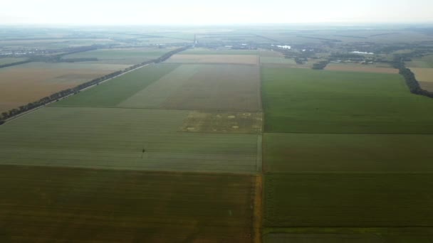 Avión teledirigido aéreo vista vuelo sobre diferentes campos agrícolas — Vídeos de Stock