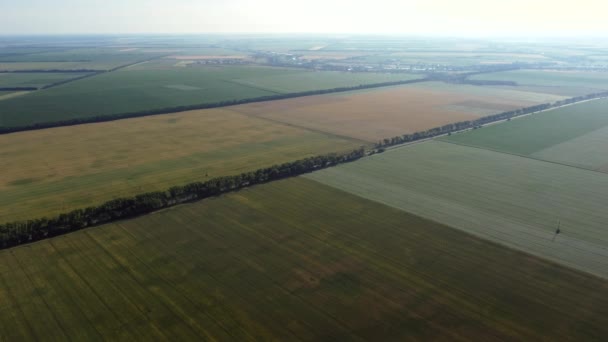 Flygdrönare visa flygning över olika jordbruksfält — Stockvideo
