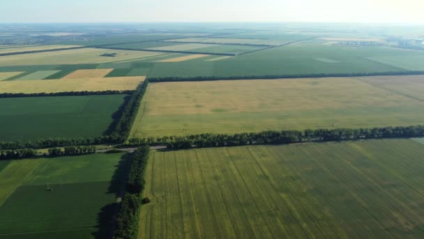 Avión teledirigido aéreo vista vuelo sobre diferentes campos agrícolas — Vídeos de Stock