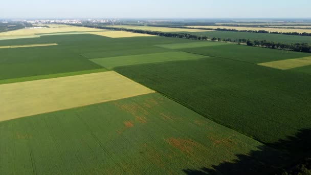 Полет беспилотника над различными сельскохозяйственными полями — стоковое видео