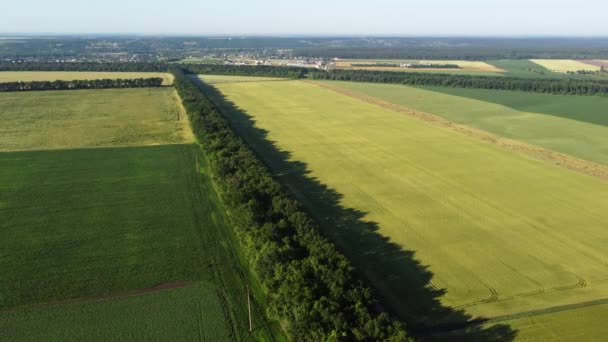 Avión teledirigido aéreo vista vuelo sobre diferentes campos agrícolas — Vídeos de Stock