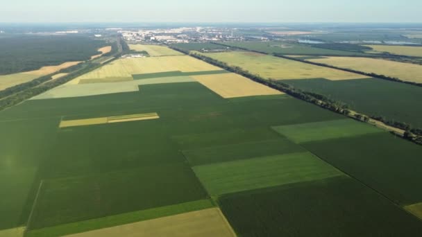 Avión teledirigido aéreo vista vuelo sobre diferentes campos agrícolas — Vídeos de Stock