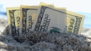Üç dolarlık banknotlar sahile yakın kumsalda gömülü.