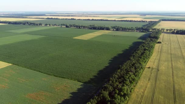 Avión teledirigido aéreo vista vuelo sobre diferentes campos agrícolas — Vídeos de Stock