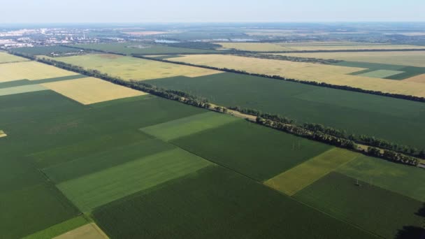 Avión teledirigido aéreo vista vuelo sobre diferentes campos agrícolas — Vídeos de Stock